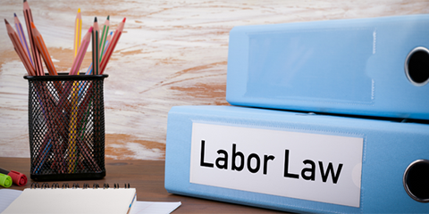 Annual Labor & Employment Update