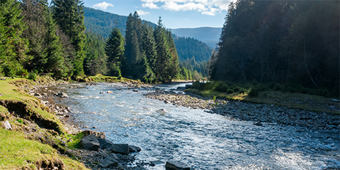 Environmental, Energy & Climate Change Law and Regulation Reporter