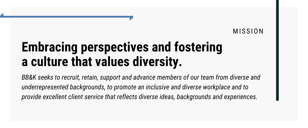 Diversity Equity Inclusion Mission Statement