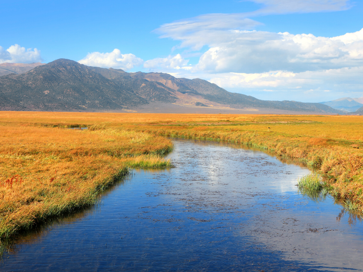 Final Rule Narrowing Clean Water Act Jurisdiction