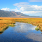 Final Rule Narrowing Clean Water Act Jurisdiction