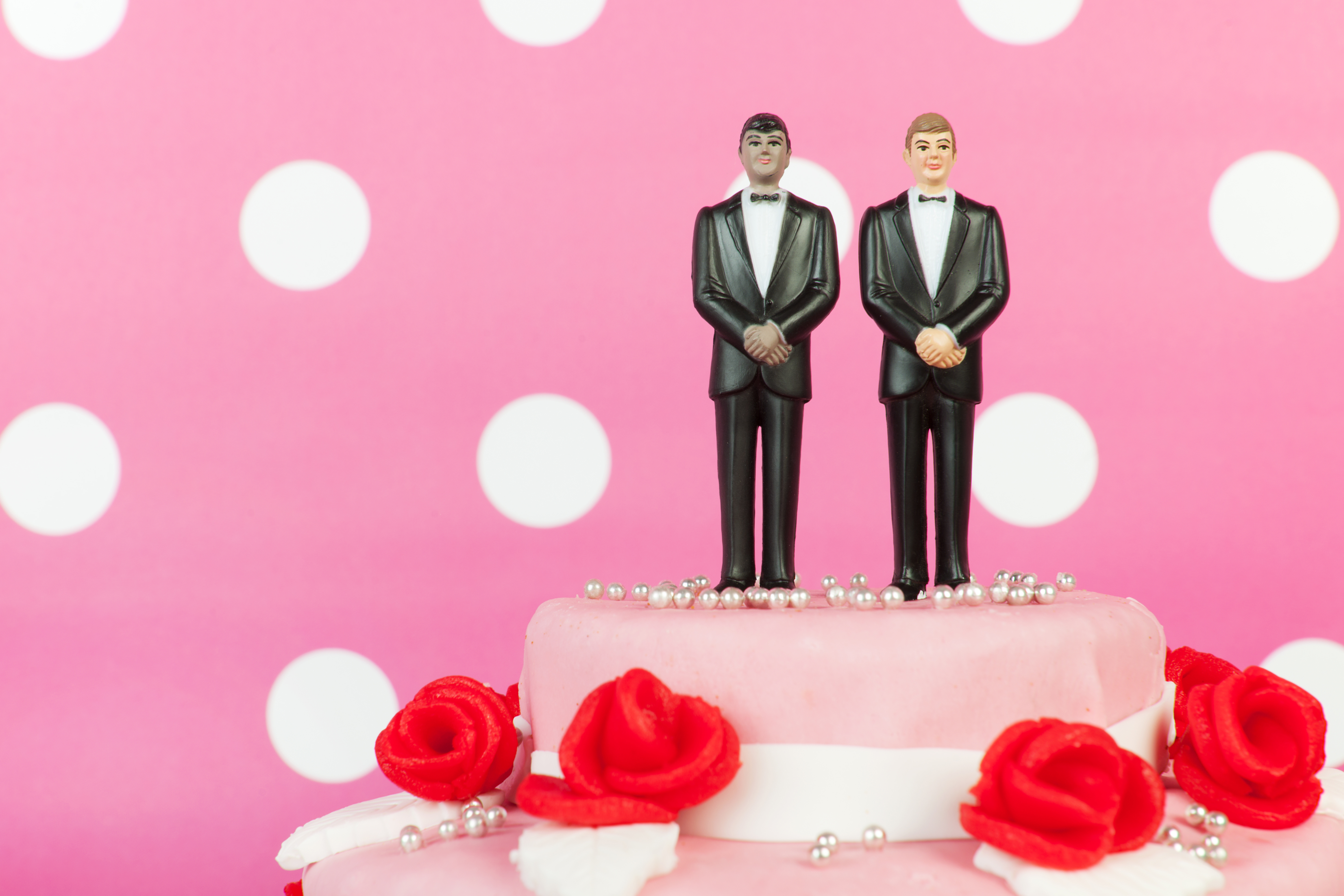 Colorado Cake Bias Case Holds Lessons for Public Agencies